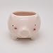 Cute Piglet Flower Pot - Mini Ceramic Planter for Succulents - Pink