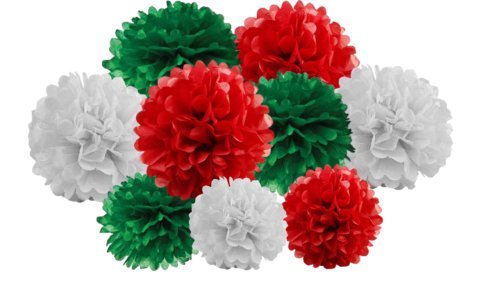 pack of 12 Pack Mixed Tissue Paper Pompom Pom Pom Hanging Garland Wedding Party Decorations (Christmas Shade, mix 8" & 10" (20 cm & 25 cm))