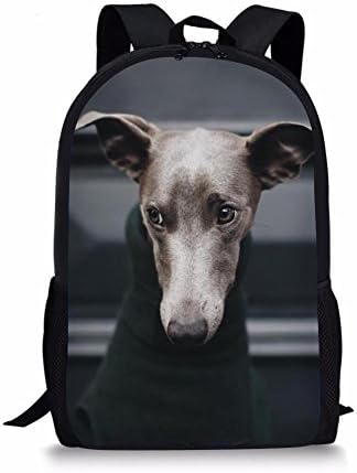 greyhound send luggage
