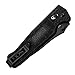 SOG Vision Arc Folding Knife | 3.8-Inch VG-10 Black TiNi Blade, Arc-Lock (VS03)