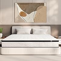 MOLBIUS Full Size Mattress 10 Inch | Full Mattresses in a Box Hybrid | Medium Firm Feel Memory Foam and Individual Pocket Springs | Fiberglass Free Bed Matress | Breathable | CertiPUR-US | Upgrade