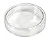 American Educational Flint Glass Culture Petri Dish, 65mm OD, 15mm Height (Bundle of 5)