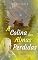 Livro A Colina das Almas Perdidas