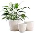 Fasmov Round Modern Ceramic Garden Flower Pots White Succulent Cactus Plant Pots, Set of 3