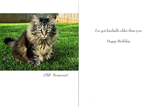 CAT LOVERS HILARIOUS BIRTHDAY CARDS - INCLUDES MANY CAT THEMES - 48 CARDS {jg}-NOTECARDS WITH ENVELOPES,ORGANIZER, , ASSORTED CARDS,HALLMARK,AMERICAN GREETINGS - Thumbnail 2