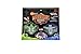 HEXBUG Warriors Battle Arena (Styles and Colors May Vary)