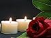 CandleNScent 8Hr Paraffin Free Tea Light Candles in Clear Acrylic Cup - Set of 30 8 Hour Extended Burn Time tealights