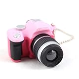 IDS Mini Pink SLR Camera Toy Keychain Keyring Flash Torch Charm Ornament Decoration