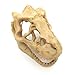 Mrli Pet Fish Tank Decorative Aquarium Decorations Reptile Hide Turtle Basking Platform Emulational Dinosaur Skelecton Head Bone Skull Resin Ornament (Dinosaur Skull)