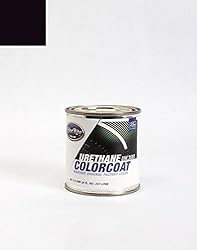ColorRite Half-Pint for Chrysler Van Automotive