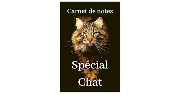 Carnet De Notes Special Chat Chaton Persan Main Coon British Shorthair Bengal Siamois Siberien Bombay Angora Turc Savannah Chartreux Korat French Edition Nottet Charlotte Amazon Com Books