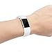 RedTaro Replacement Bands Compatible with Fitbit Charge 2, Classic & Special Edition Adjustable Sport Wristbands for Fitbit Charge 2 Women Men (White, Small)