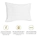 Italian Luxury Plush Gel Pillows 2100 Series (2-Pack) - Premium Quality Luxury Hotel Collection - Hypoallergenic & Dust Mite Resistant - Queen