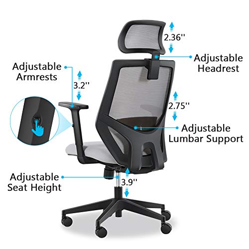 Ergonomic Office Desk Chair, Mesh Chair with Lumbar Support, Tribesigns