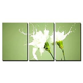 3 Piece Canvas Wall Art - White Flowers with Milk Splash on Green Background - Modern Home Art Stretched and Framed Ready to Hang - 16"x24"x3 Panels