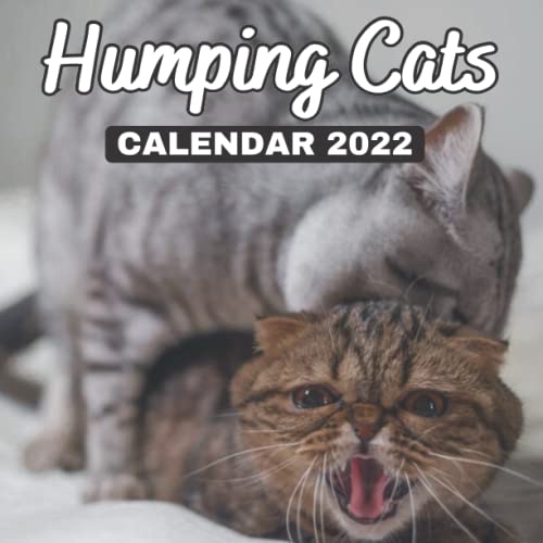 Yankee christmas stocking