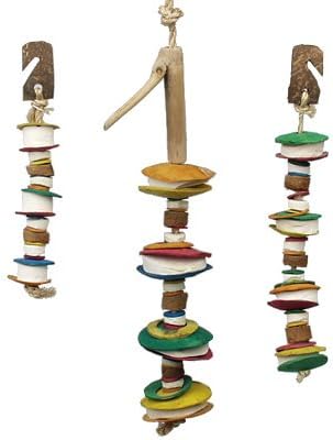 planet pleasures bird