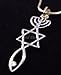Messianic Seal Necklace Hebraic Roots Gold Grafted Comes In A Gift Pouch