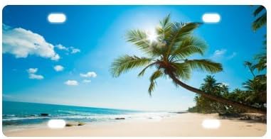 beach License Plate with Vivid color and Detail Images-12" X 6" inches