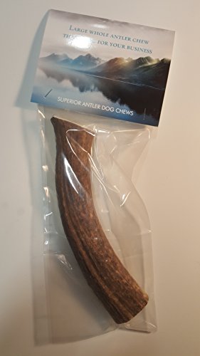 1- Large Antler, Whole, Single Pack –Large, All Natural Premium Grade A. Antler Chew. L=6-10” Naturally Shed, and Made in The USA. NO Odor, NO Mess. GUARENTEED SATISIFACTION. for Dogs 40-80 LBS