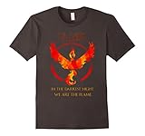 team Valor T-shirt