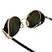 Arctic Star Classic Sidestreet Crosswalk Sidecups Steampunk Sunglasses Gold&black Frame