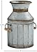 Amazon Brand - Stone & Beam Vintage Rustic Farmhouse Galvanized Metal Milk Jug Home Decor Planter Vase, Grey, 7.5