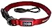 GoDoggie-GLOW USB Rechargeable LED Dog Safety Collar, X-Large ( 16.9 - 27.5
