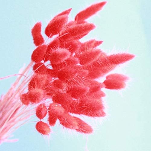 WEISY 30PCS Natural Rabbit Tail Grass Dried Household Flower Decorations Festive Party Supplies