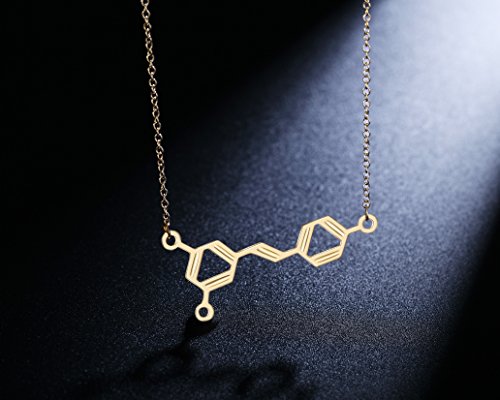 Rosa Vila Wine Molecule Necklace, Wine Lover Gifts for Women, Chic Geeky Jewelry, for Wine Lovers, Makers, and Enthusiasts, 19" Chain (Gold Tone), Mother's Day