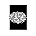 Heritage Lace Bristol Garden 14-Inch by 20-Inch Placemat, Cafe, Set of 2