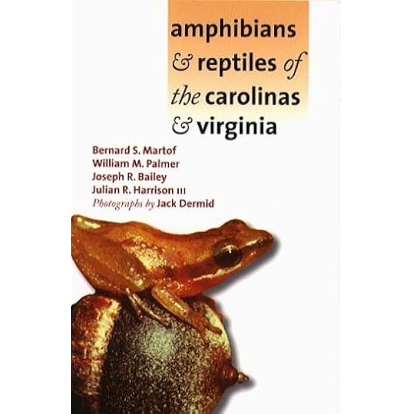 洋書 Reptile and Amphibians 2nd edition 洋書 Reptile and Amphibians 2nd edition A Field Guide to