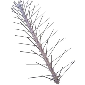 Bird-X Stainless Steel Bird Spikes, Covers 100 feet