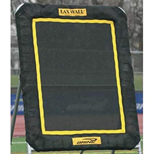 Brine Lacrosse Lax Rebound Wall Replacement Mat (3 x 4Feet, Black