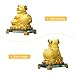 Bwinka 2019 Golden FengShui Pig with Lucky Coins Feng Shui Decoration for Luck & Wealth Perfect for Your Home or Office