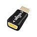 Dasteck H79 1080p Mini and Portable HDMI Male to VGA Female Video Converter Adapter
