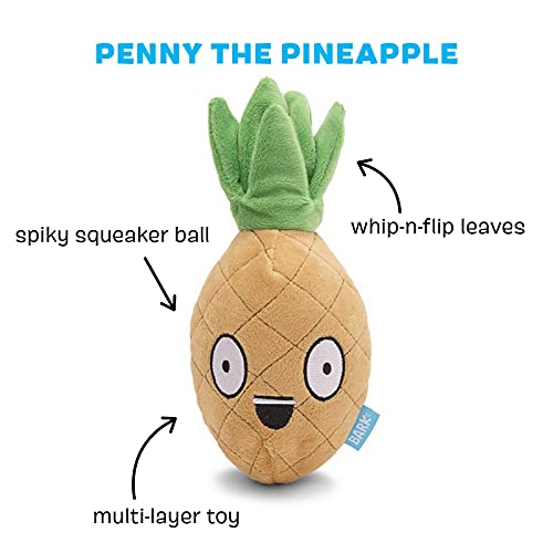 barkbox pineapple