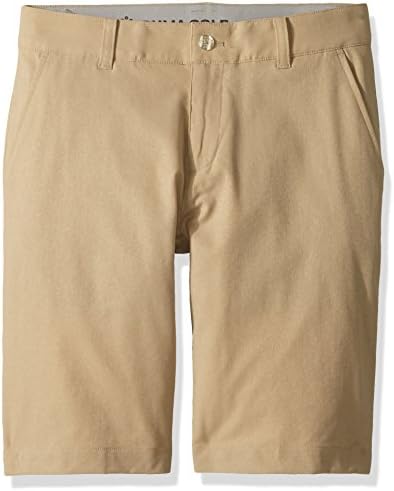 PUMA Boys’ 2018 Heather Pounce Short