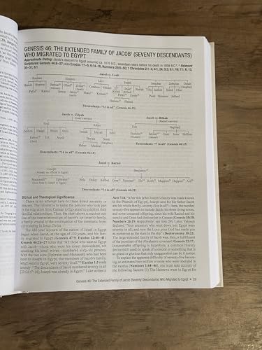 All the Genealogies of the Bible: Visual Charts and Exegetical Commentary