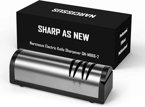 Professional 2-Stage Electric Knife Sharpener with Scissors Sharpener & Metal Dust Collection Box,Stainless Steel,Quick Sharpening & Polishing,Kitchen Sharpener for Home Chefs & Cooking Enthusiasts