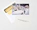 Christmas Night Christmas Cards - Box of 15 Cards & 16 Foil Lined Envelopes