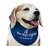 The Dog's Right! Dog Cooling Collar Bandana (Size 14 to 16 inches, Adjustable for Medium Sized Dogs)
