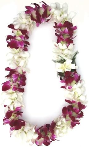 Amazon Com Fresh Hawaiian Lei Double Purple And White Orchid Lei Fresh Flowers And Live Indoor Plants Grocery Gourmet Food