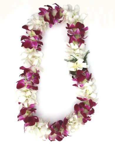 Fresh Hawaiian Lei - Double Purple and White Orchid Lei
