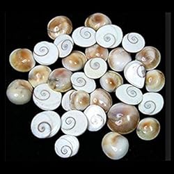 IndianStore4All 25 Pcs Gomti Chakra for