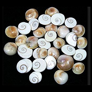 IndianStore4All 25 Pcs Gomti Chakra for
