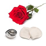 AK ART KITCHENWARE Rose Petal Decoration Tool Leaf and Flower Tool Kit Stainless Steel Cookie Cutter Set Silicone Veining Mold Petal Sugar Flower Making Tool A348&VM057