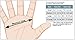 Healthstar Anti-Microbial Vinyl Gloves Medium, Disposable, Powder-Free, Food-Safe, Industrial Quality, Comfortable (Box of 100)