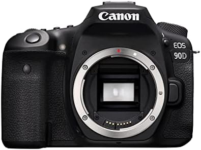 Canon EOS R8 RF 24-50 F4.5-6.3 IS ST|24.2P Full-Frae Irrorless - View #8