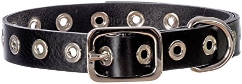 Pet Xccessories Premium Leather 1" Wide Adjustable Dog Collar with Grommets (Black, M/L)